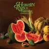 HOWLIN RAIN – watermelon (CD, LP Vinyl)