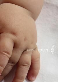 Cover HRVST, youth