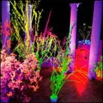 HÜSKER DÜ – warehouse: songs & stories (CD)