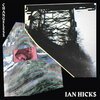IAN HICKS – character collapse (12" Vinyl)