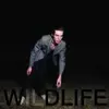 ICARUS LINE – wildlife (LP Vinyl)