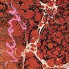 ICEAGE – beyondless (CD, LP Vinyl)