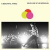 IDLES – a beautiful thing: live at the bataclan (CD)