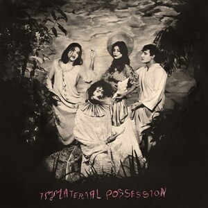 IMMATERIAL POSSESSION – s/t (LP Vinyl)