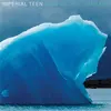 IMPERIAL TEEN – now we are timeless (LP Vinyl)