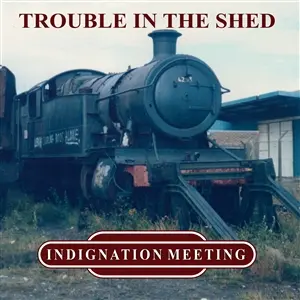 INDIGNATION MEETING – trouble in the shed (LP Vinyl)