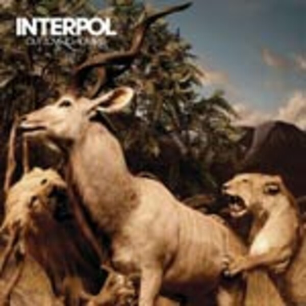 INTERPOL, our love to admire cover