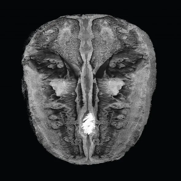 IRMLER/OESTERHELT – die gesänge des maldoror (LP Vinyl)