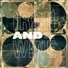 IRON AND WINE – around the well (CD, LP Vinyl)