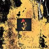 IVY GARDEN OF THE DESERT – blood is love (CD, LP Vinyl)