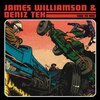 JAMES WILLIAMSON & DENIZ TEK – two to one (LP Vinyl)