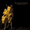 JAMES YORKSTON & THE ATHLETES – just beyond the river (LP Vinyl)