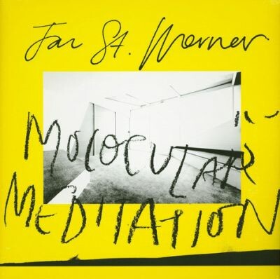 JAN ST. WERNER – molocular meditation (LP Vinyl)