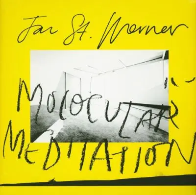 JAN ST. WERNER – molocular meditation (LP Vinyl)