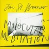 JAN ST. WERNER – molocular meditation (LP Vinyl)