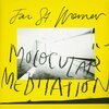 JAN ST. WERNER – molocular meditation (LP Vinyl)