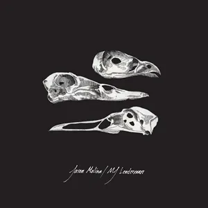 JASON MOLINA/MJ LENDERMAN – the last three human words (demo) (7" Vinyl)