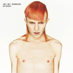 JAY JAY JOHANSON – antenna (LP Vinyl)