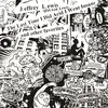 JEFFREY LEWIS – the last time i did acid i went insane (LP Vinyl)