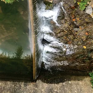 JESSICA MOSS – phosphenes (CD)