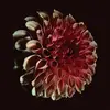 JESSICA MOSS – unfolding (CD, LP Vinyl)