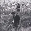 JESU / SUN KIL MOON – s/t (CD)