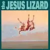 JESUS LIZARD – down (remaster-reissue) (CD, LP Vinyl)