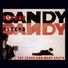 JESUS & MARY CHAIN – psychocandy (LP Vinyl)