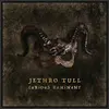 JETHRO TULL – curious ruminant (CD, LP Vinyl)