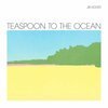 JIB KIDDER – teaspoon to the ocean (CD, LP Vinyl)