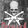 JIM MCCARTHY/BRIAN WILLIAMSON – metallica: nothing else matters die graphic novel (Papier)