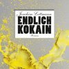 JOACHIN LOTTMANN – endlich kokain (Papier)