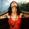 JOAN AS POLICE WOMAN – deep field (CD)