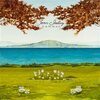 JOAN SHELLEY – like the river loses the sea (CD, LP Vinyl)