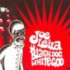 JOE LEILA – black dog white god (CD)