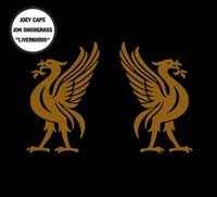 JOEY CAPE & JON SNODGRASS – liverbirds (CD)