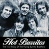JOHN EINARSON/CHRIS HILLMANN – hot burritos: true story (Papier)