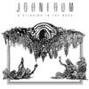 JOHN FRUM – a stirring in the noos (LP Vinyl)