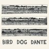 JOHN PARISH – bird dog dante (CD)