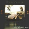 JOHN PARISH – how animals move (CD)