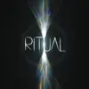 JON HOPKINS – ritual (CD, LP Vinyl)