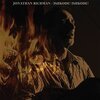 JONATHAN RICHMAN – ishkode! ishkode! (LP Vinyl)