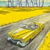 JUAN DIAZ CANALES/JUANJO GUARNIDO – blacksad 05 amarillo (Papier)