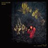 JULIA HOLTER – aviary (LP Vinyl)