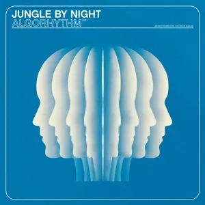 JUNGLE BY NIGHT – algorhythm (LP Vinyl)