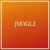 JUNGLE – volcano (CD, Kassette, LP Vinyl)