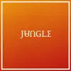 JUNGLE – volcano (CD, LP Vinyl)