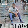 JUNIOR BYLES – beat down babylon (LP Vinyl)