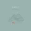 KALLE – saffron hills (CD, LP Vinyl)
