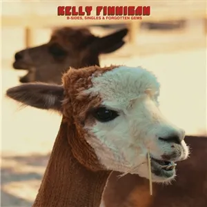 KELLY FINNIGAN – b-sides, singles & fogotten gems (CD, LP Vinyl)